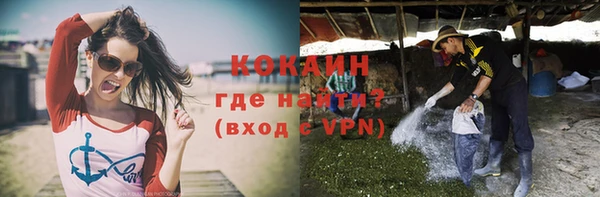индика Нефтекумск