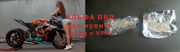 индика Нефтекумск