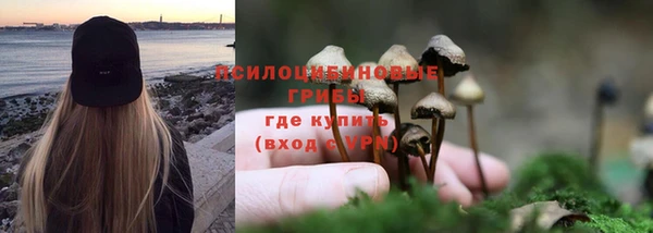 индика Нефтекумск