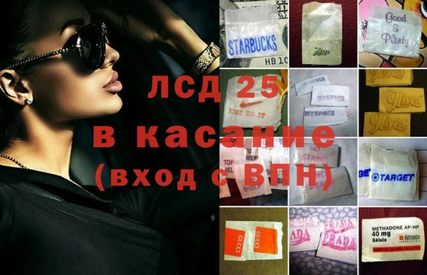 индика Нефтекумск